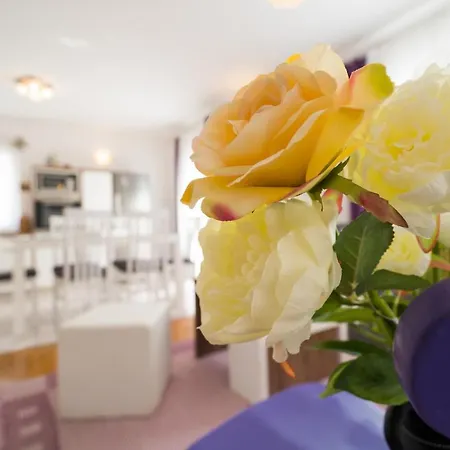 Apartament Anita